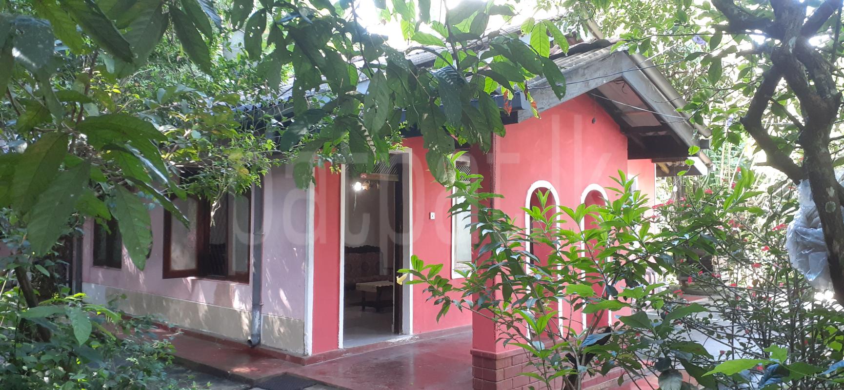 premium-listing-image