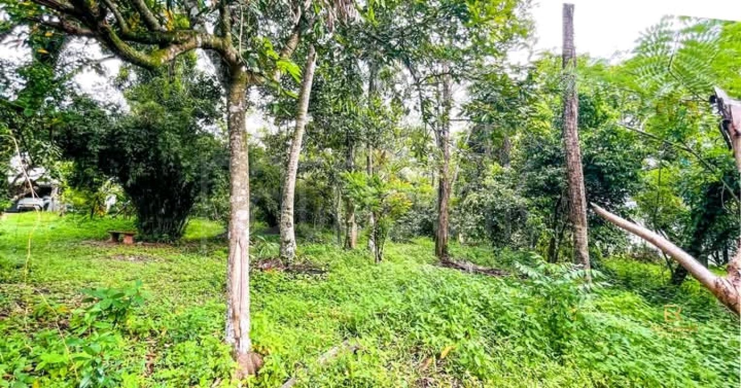 Commercial Land for Sale in Talawatugoda