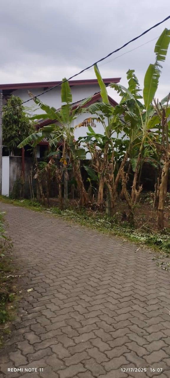 Commercial Land for Sale in Pannipitiya