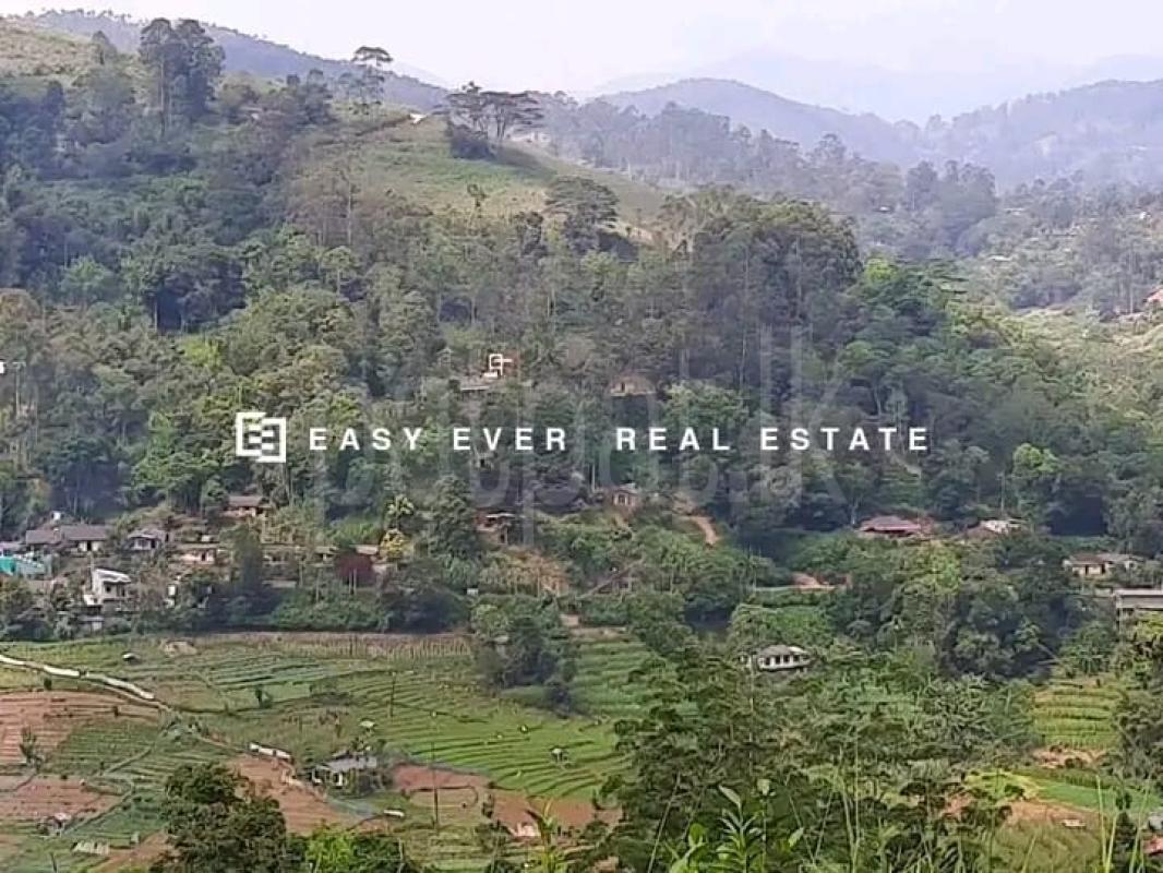 Commercial Land for Sale in Bandarawela ads-image-1