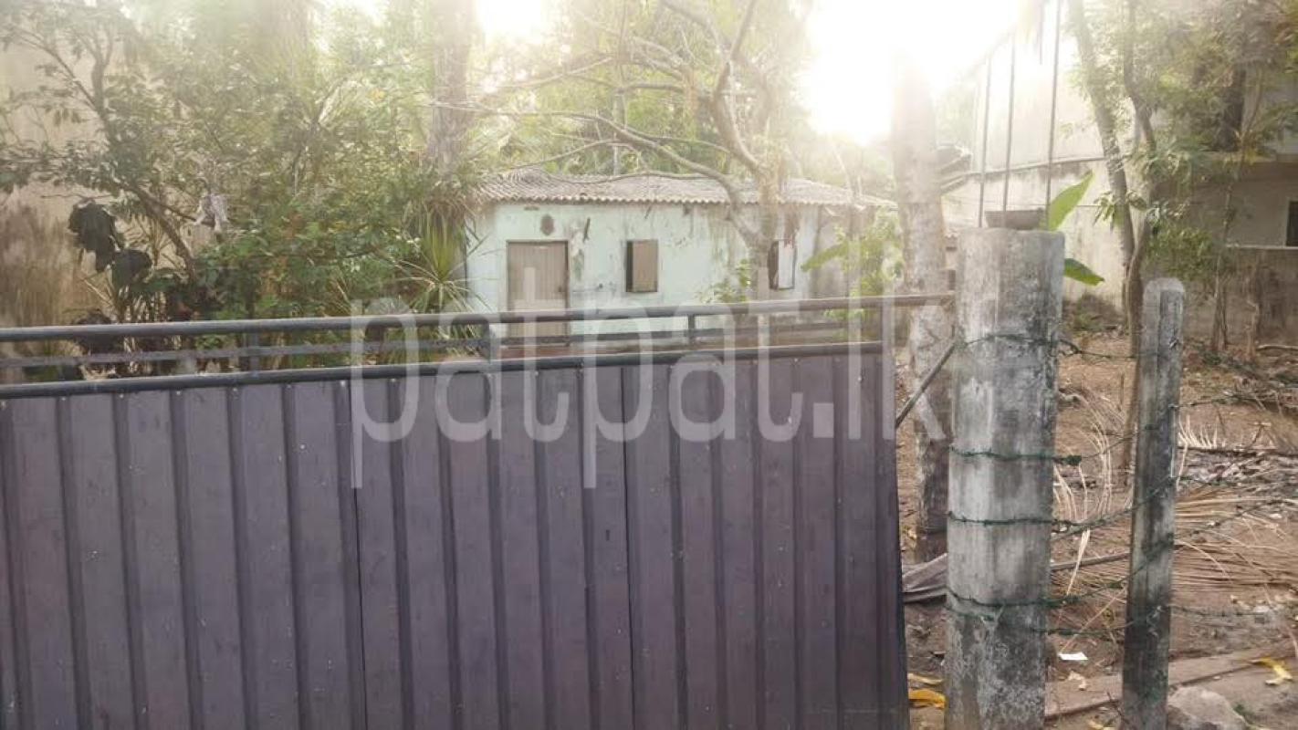 Advertisement image 1