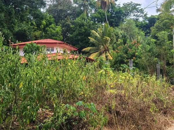 Residential Land for Sale in Yakkala
