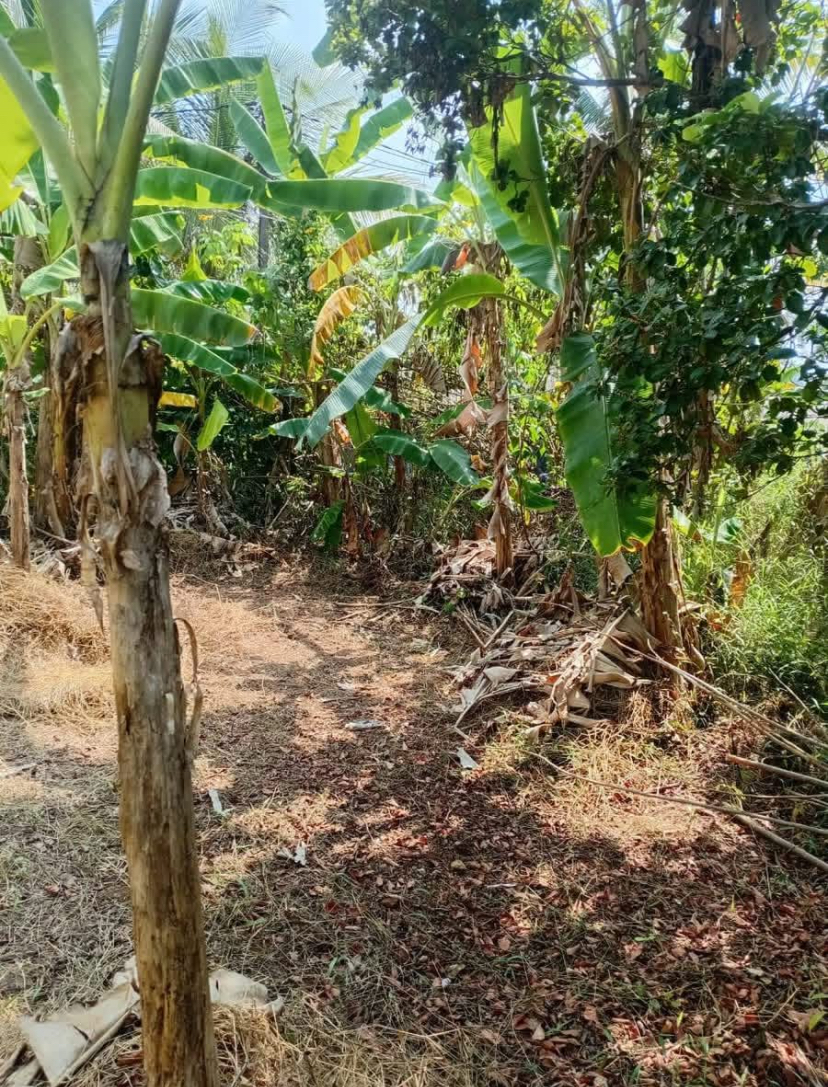 Residential Land for Sale in Kahathuduwa