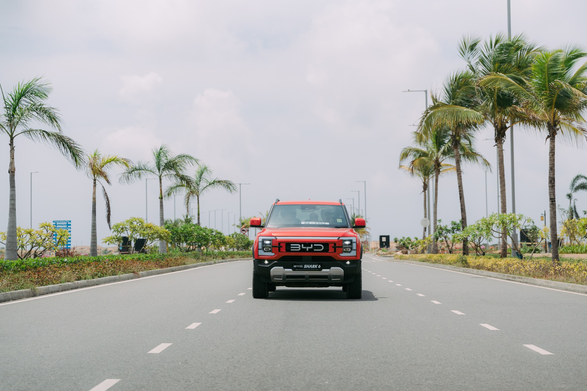 BYD Shark 6 2025 - Brand New Pick-up  sale in Sri Lanka - patpat.lk