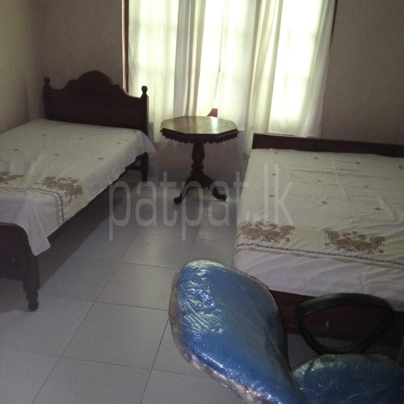 Room for Rent in Peradeniya