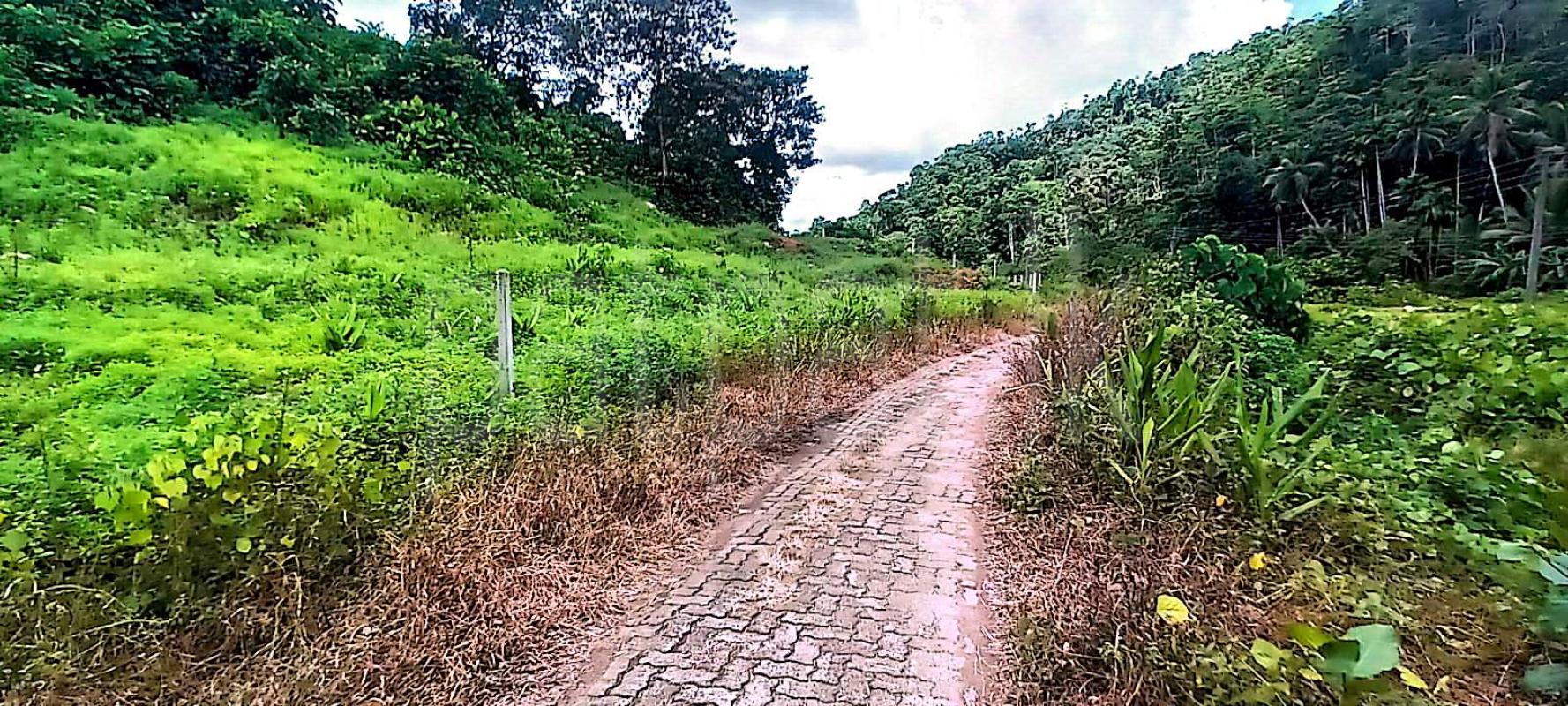 Residential Land for Sale in Agalawatta