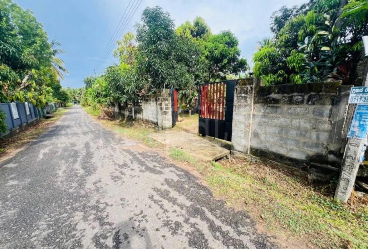 premium-listing-image