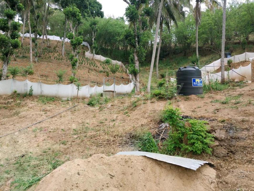 Agricultural Land for Sale in Kandy