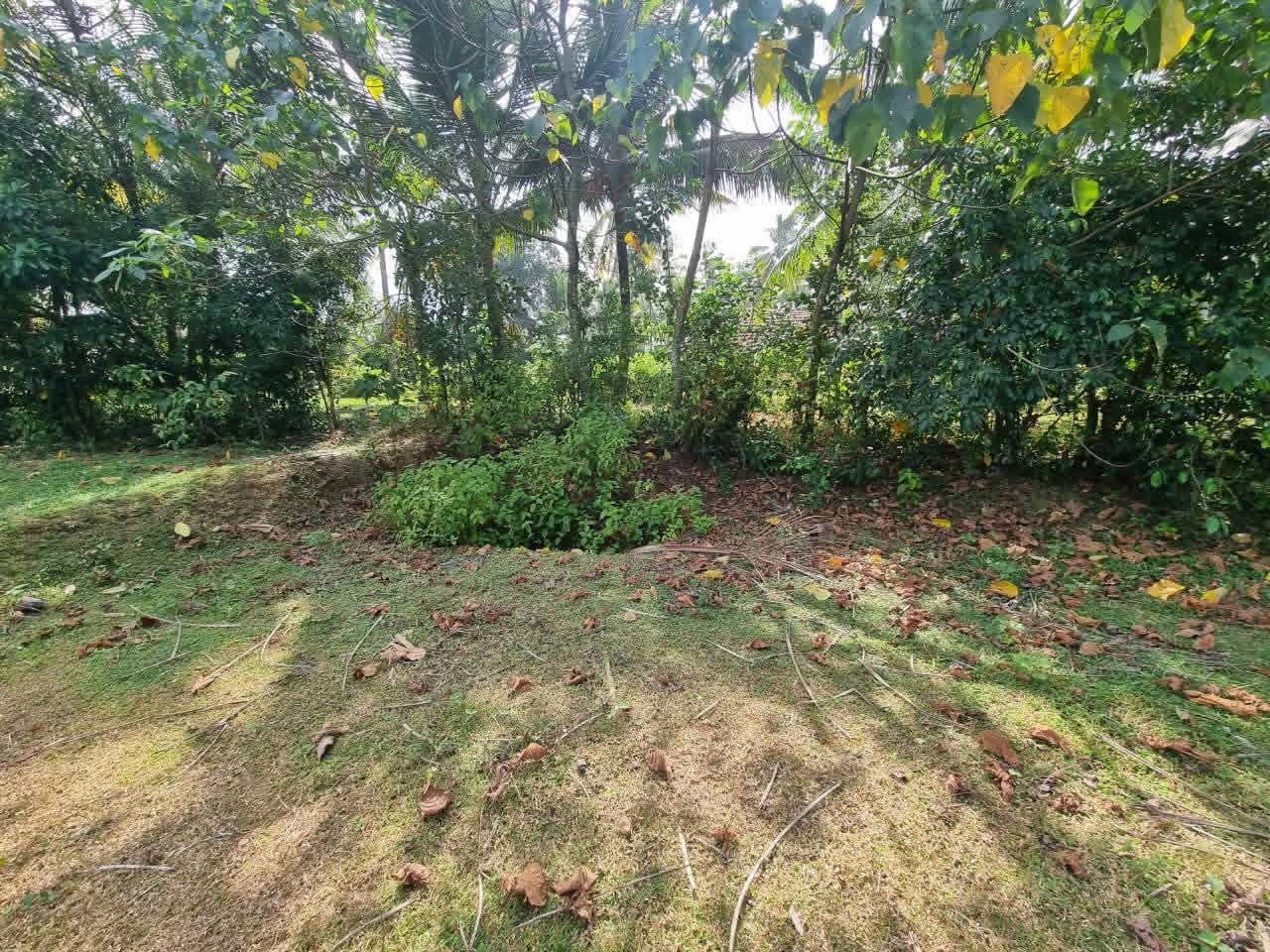 Residential Land for Sale in Nittambuwa