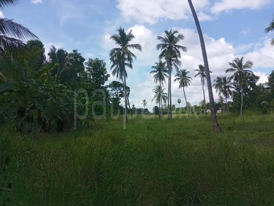 Agricultural Land for Sale in Wariyapola