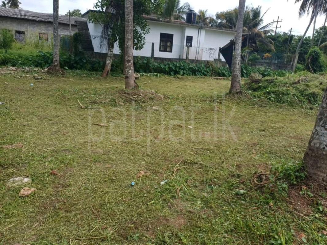 Commercial Land for Sale in Pamunugama