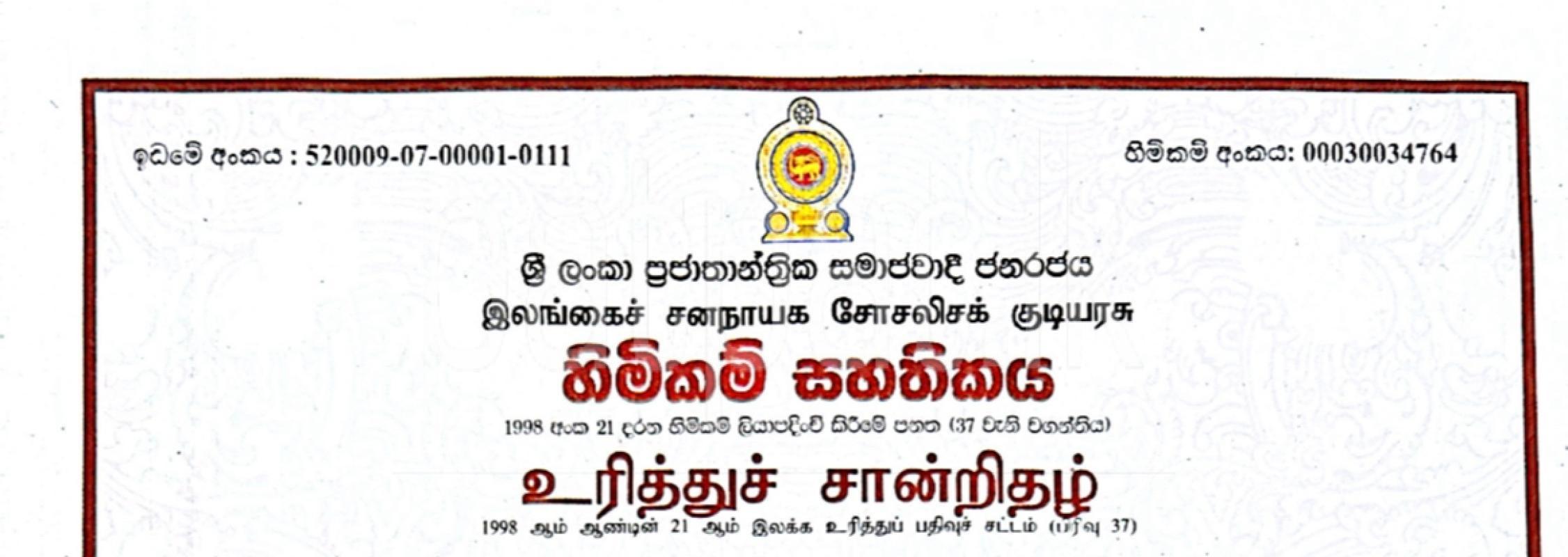 Advertisement image 2