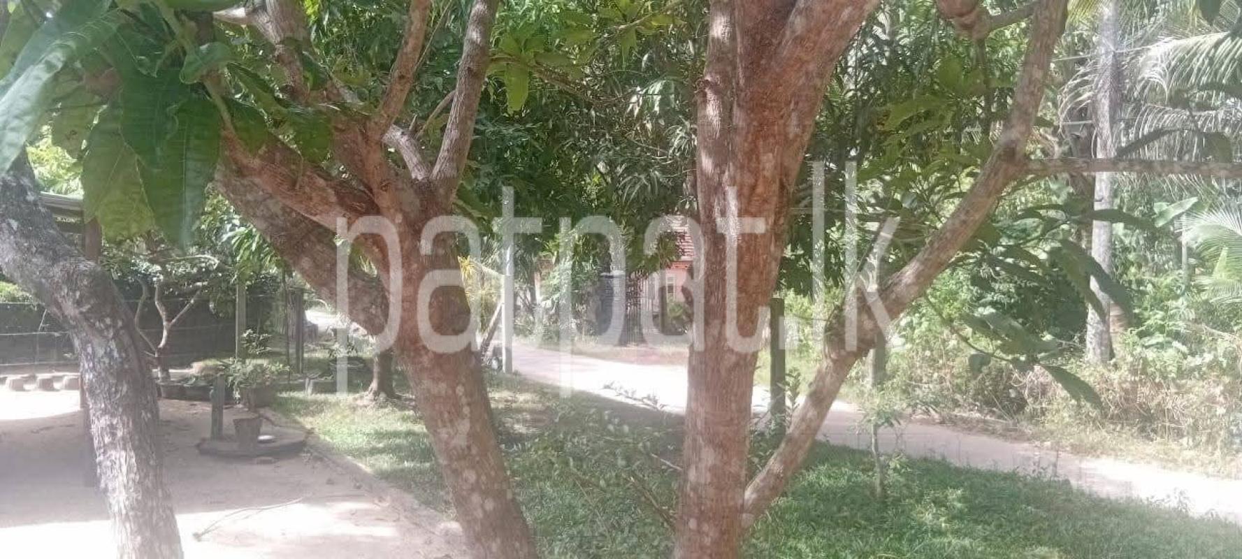 House for Sale in Kaduwela