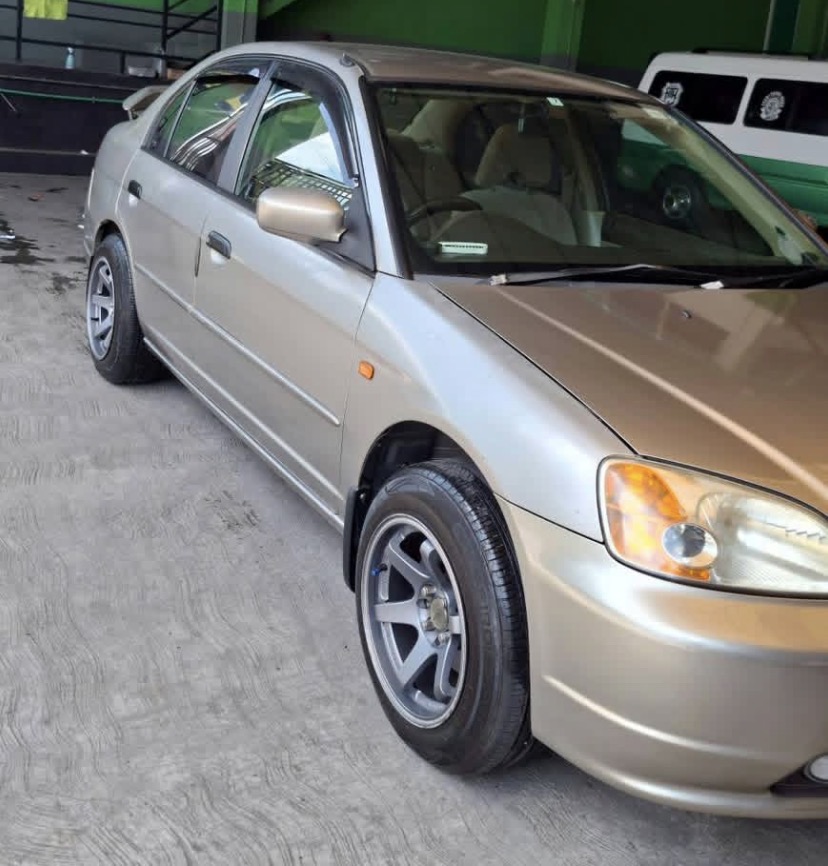 Advertisement image 4