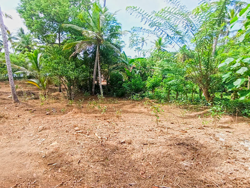 Commercial Land for Sale in Ahangama