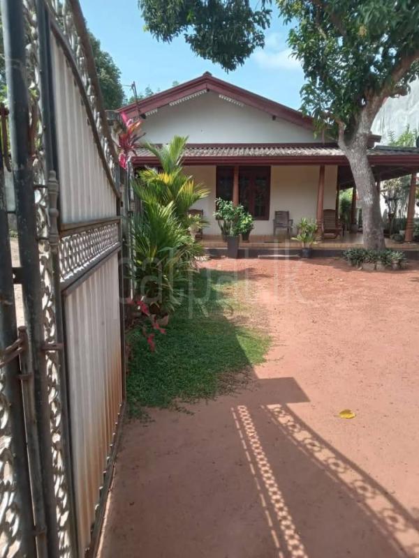 House for Sale in Gampaha ads-image-1