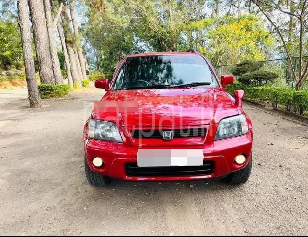 Advertisement image 1