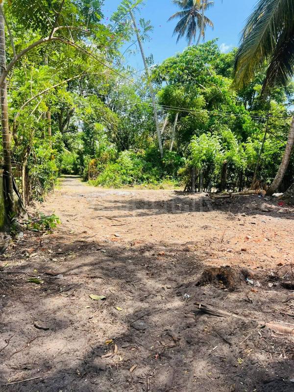Commercial Land for Sale in Unawatuna
