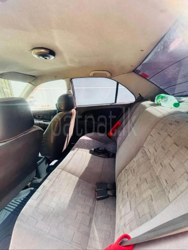 Advertisement image 5