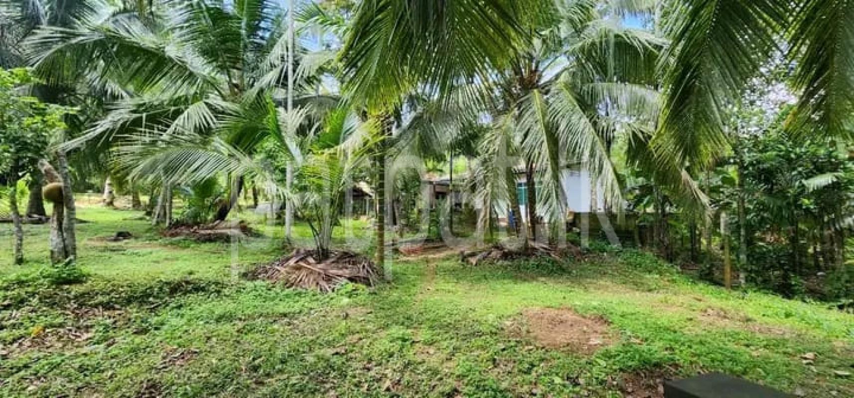 House for Sale in Kurunegala