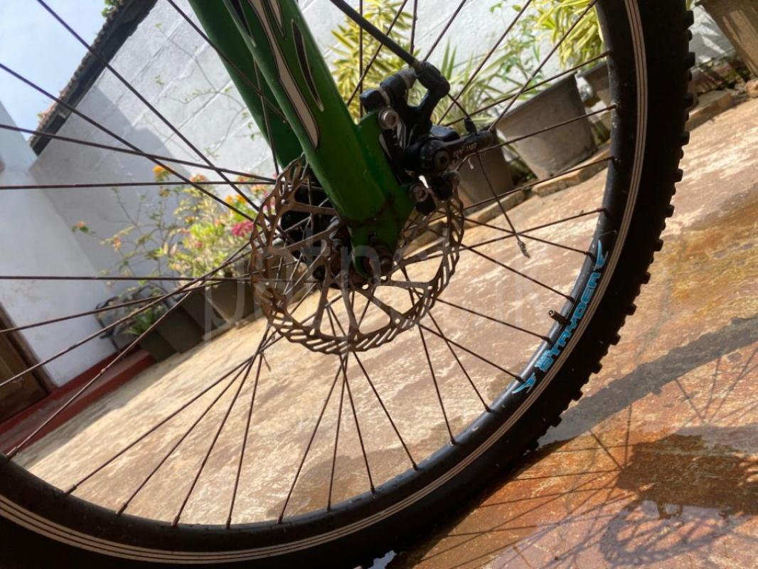 Advertisement image 3