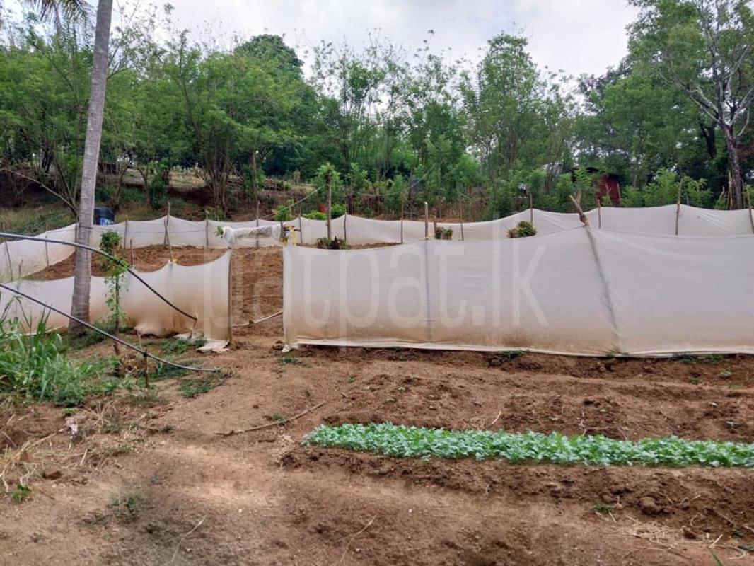 Agricultural Land for Sale in Kandy