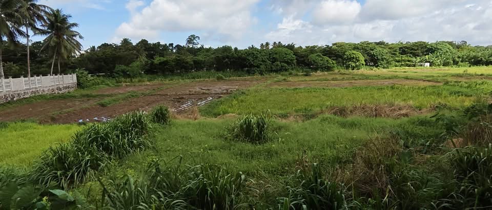 Residential Land for Sale in Athurugiriya