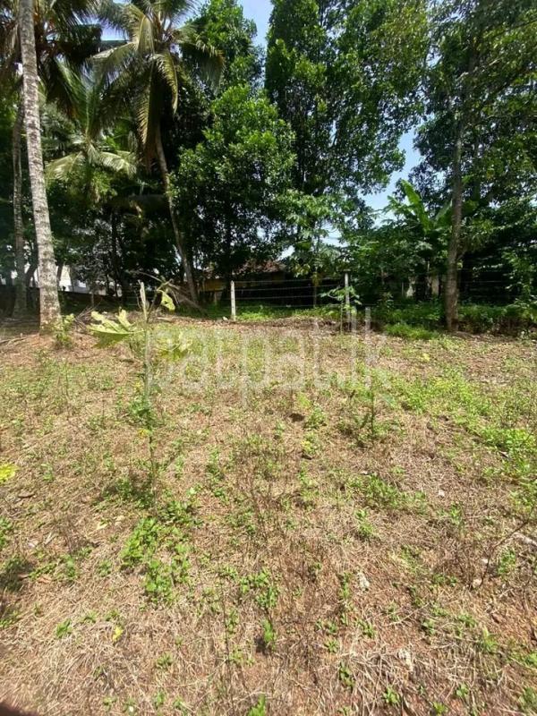 Commercial Land for Sale in Ethul Kotte ads-image-1