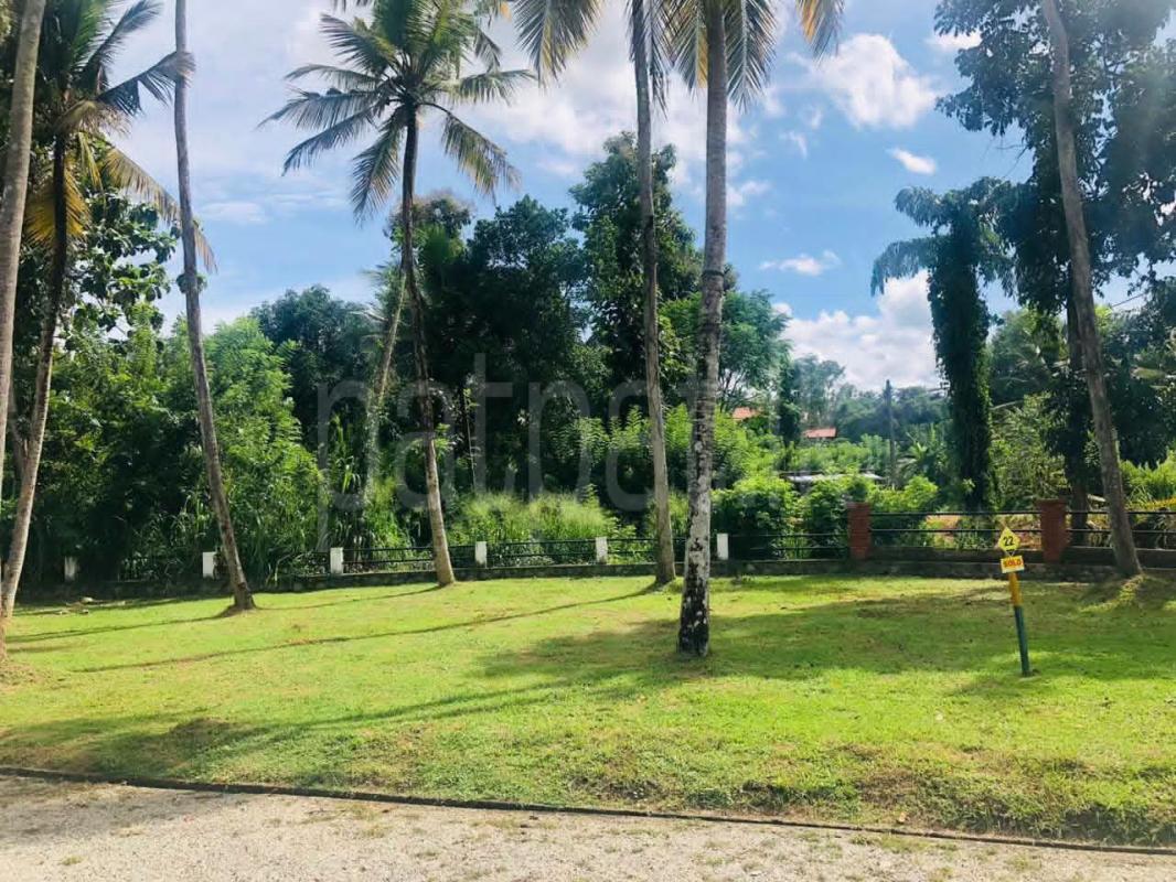 Residential Land for Sale in Kurunegala