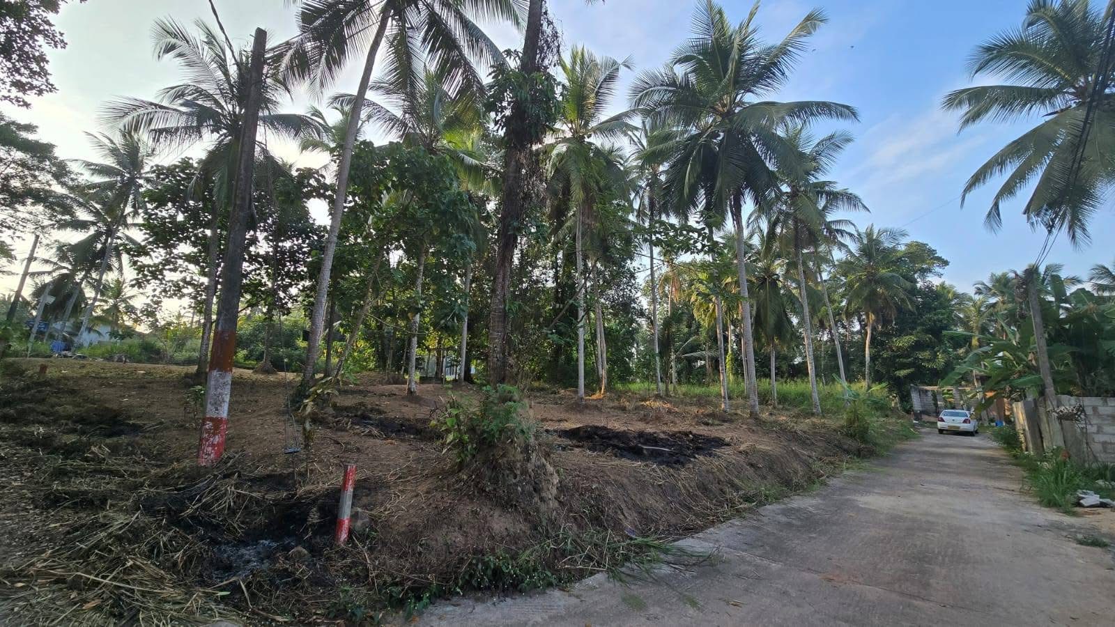 Residential Land for Sale in Yakkala
