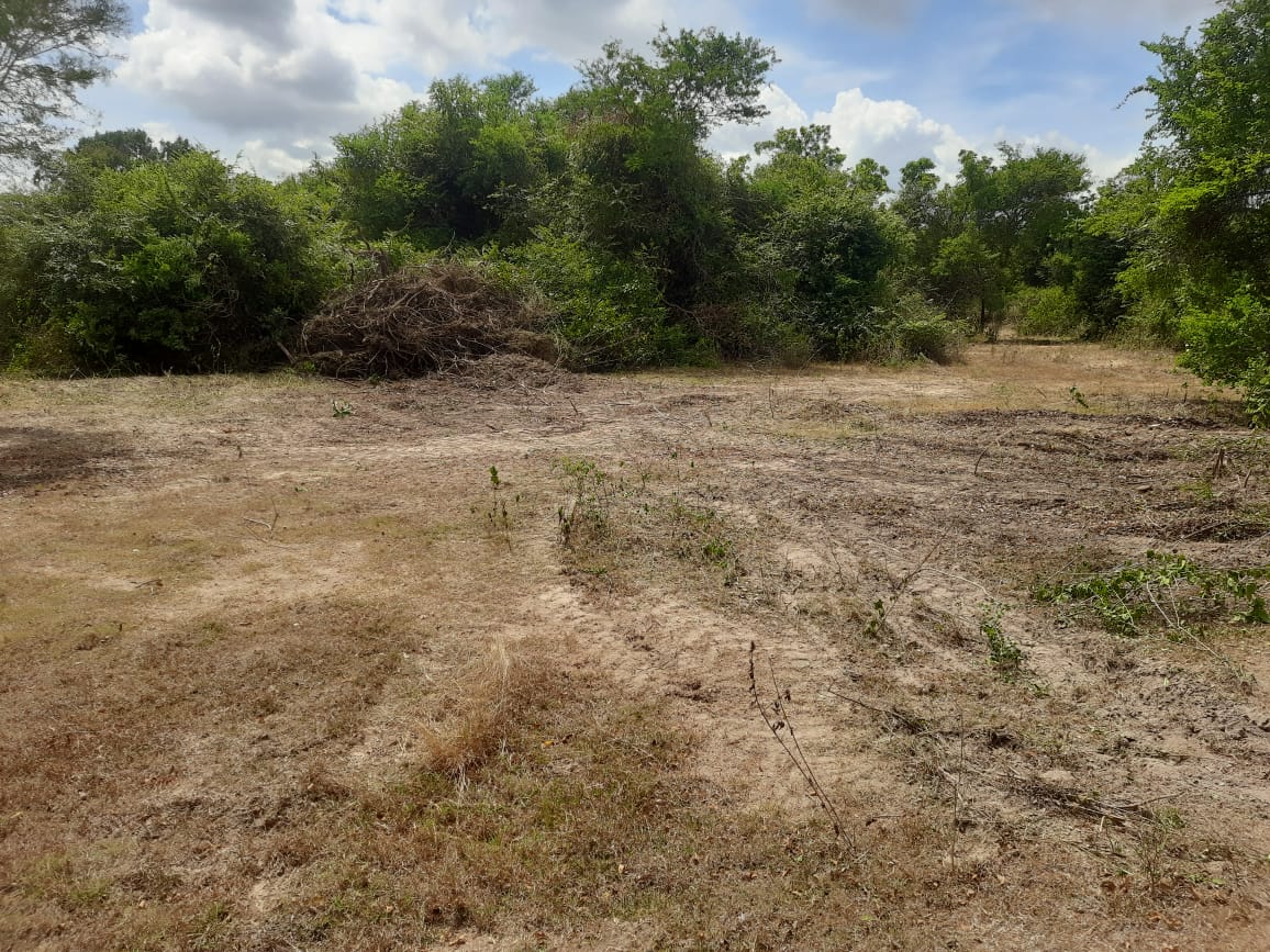 Agricultural Land for Sale in Galgamuwa