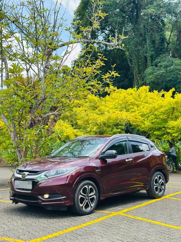 Advertisement image 1