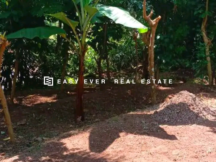 Commercial Land for Sale in Minuwangoda