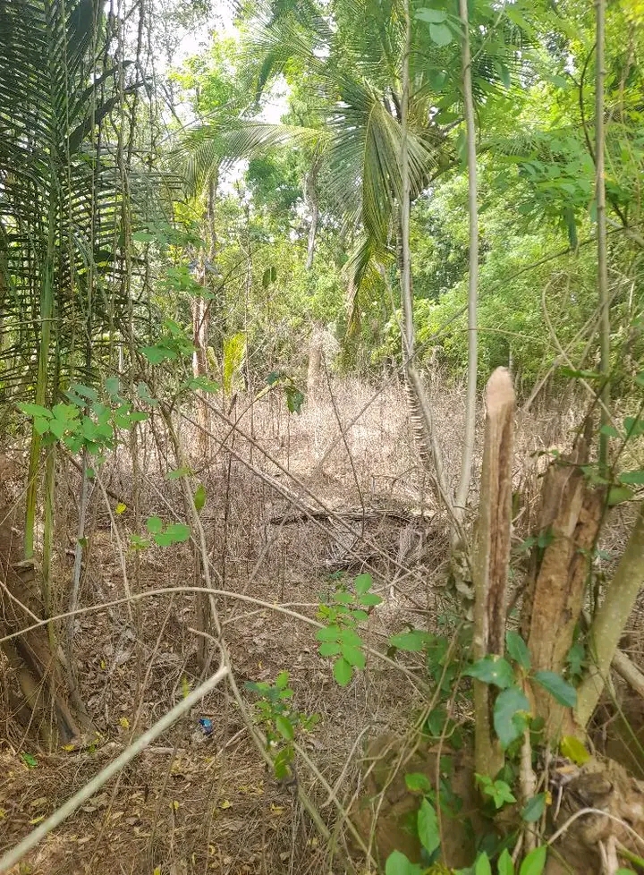 Residential Land for Sale in Tangalla ads-image-1
