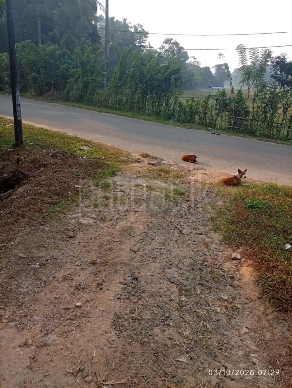 Residential Land for Sale in Ridigama