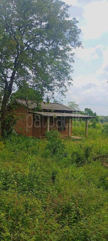 Commercial Land for Sale in Maho