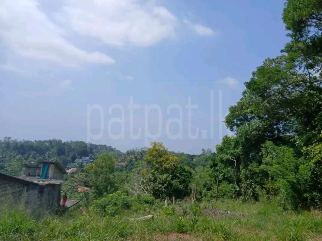Residential Land for Sale in Kelaniya