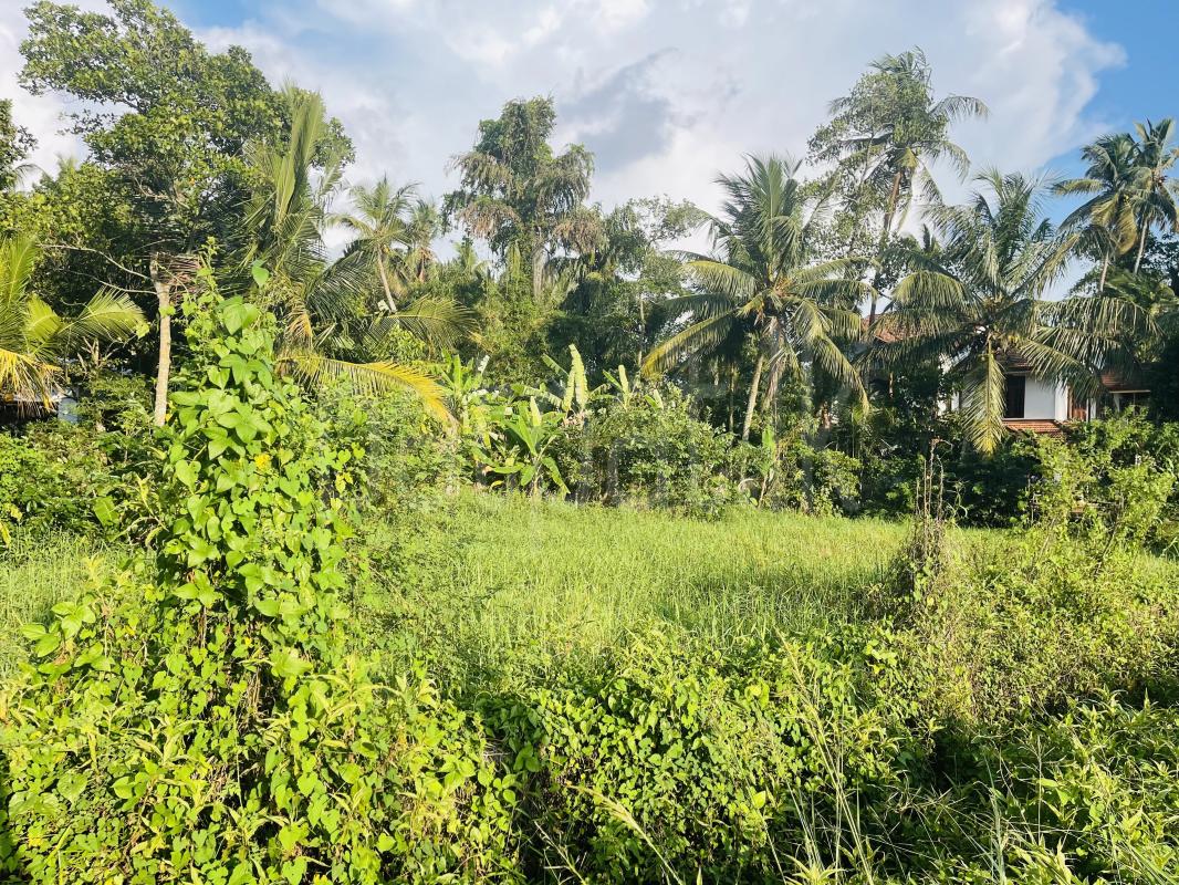 Commercial Land for Rent in Ja-Ela