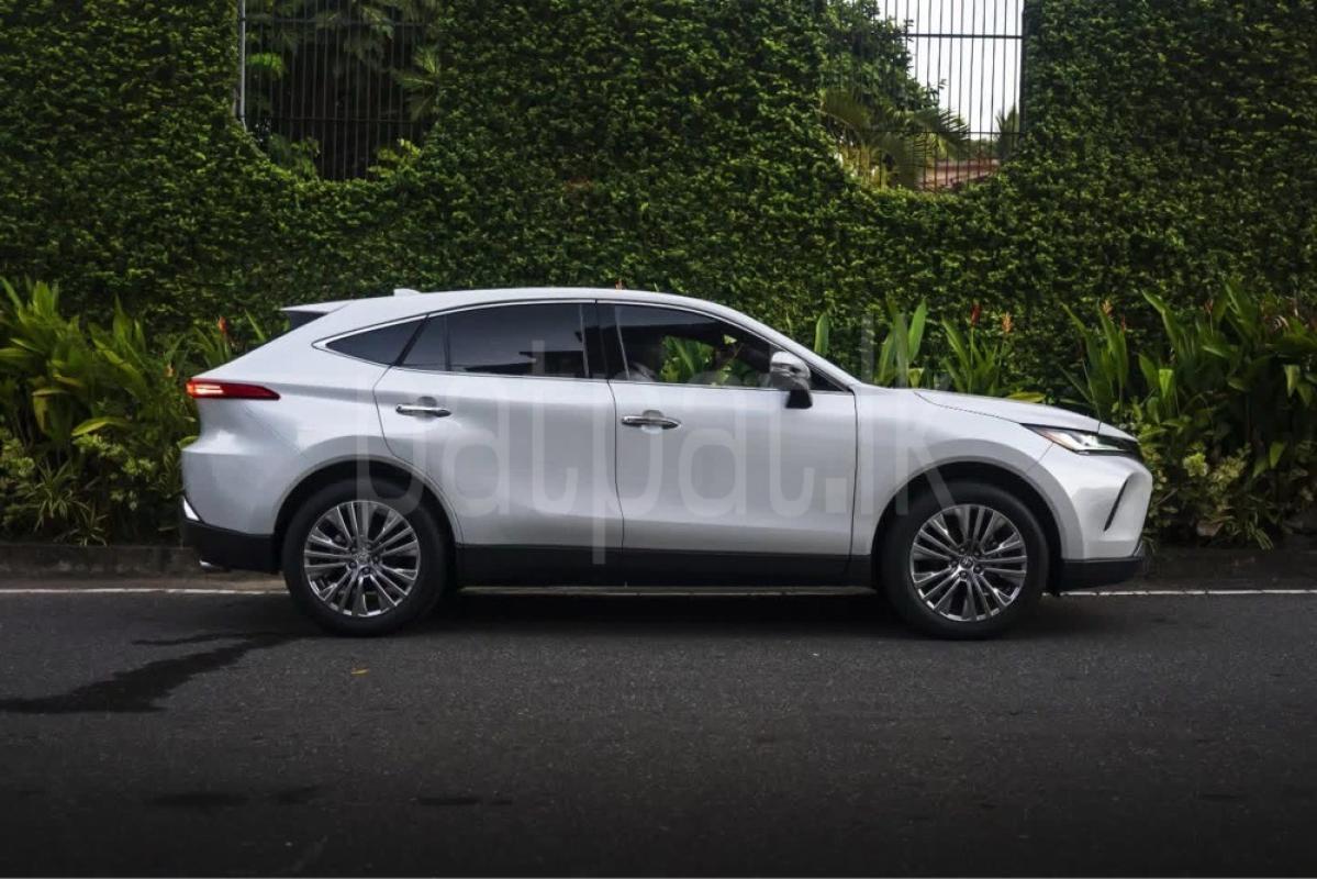 Advertisement image 5