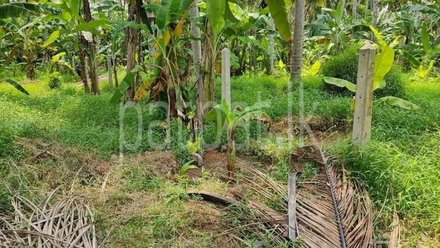 Residential Land for Sale in Galewela