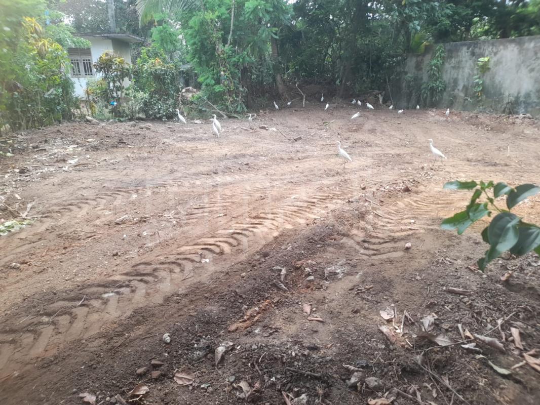 Residential Land for Sale in Pannipitiya