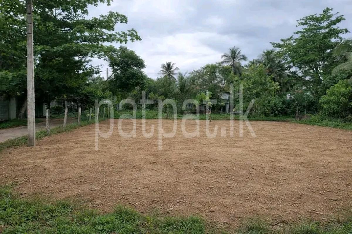 Commercial Land for Sale in Yakkala ads-image-1