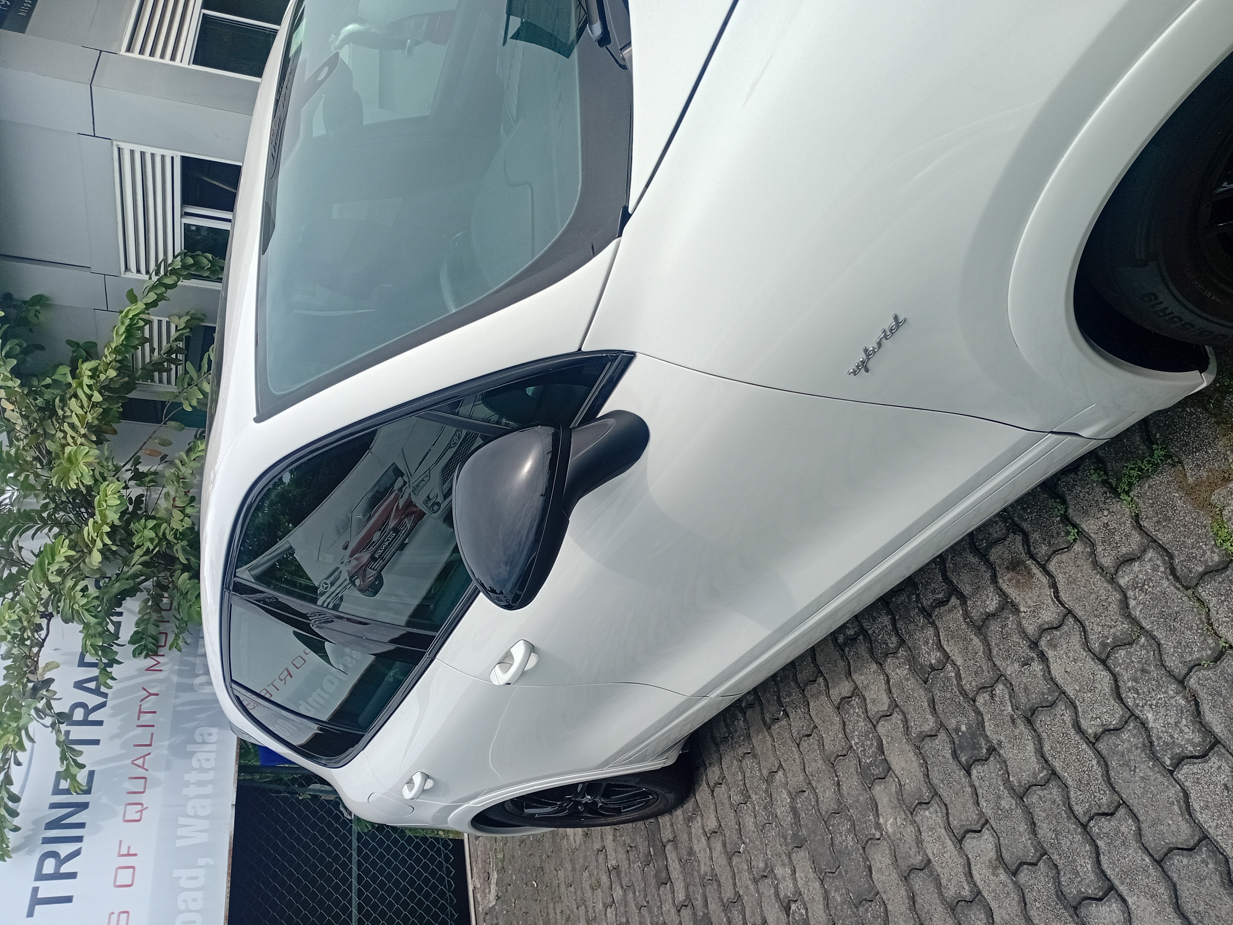 Advertisement image 3