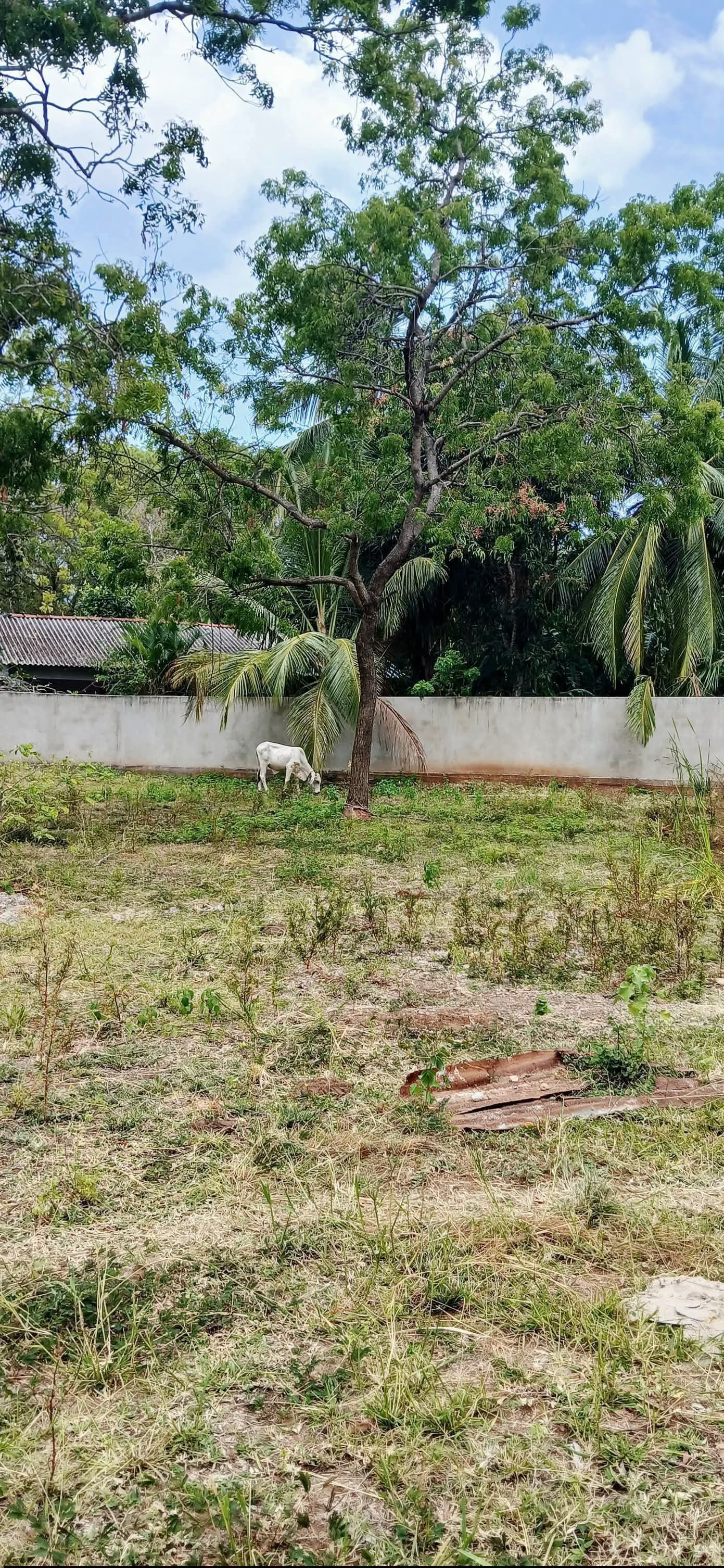 Residential Land for Sale in Kataragama