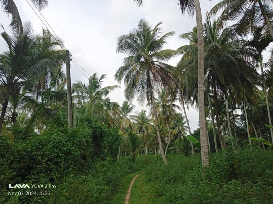 Agricultural Land for Sale in Kurunegala