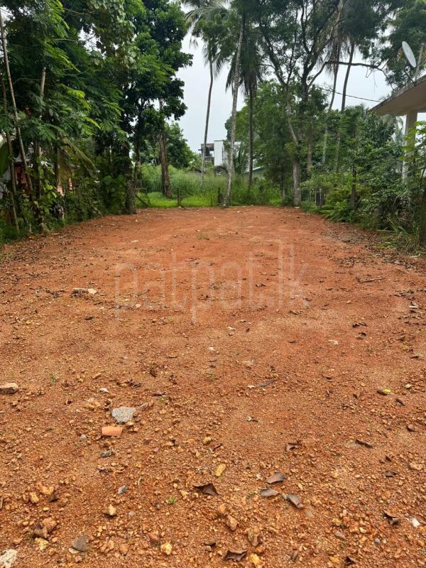 Residential Land for Sale in Kadawatha ads-image-1