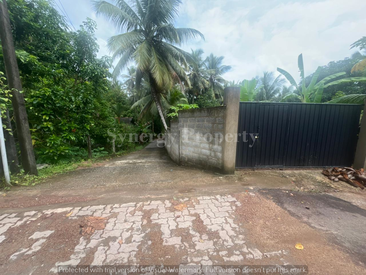 Advertisement image 5