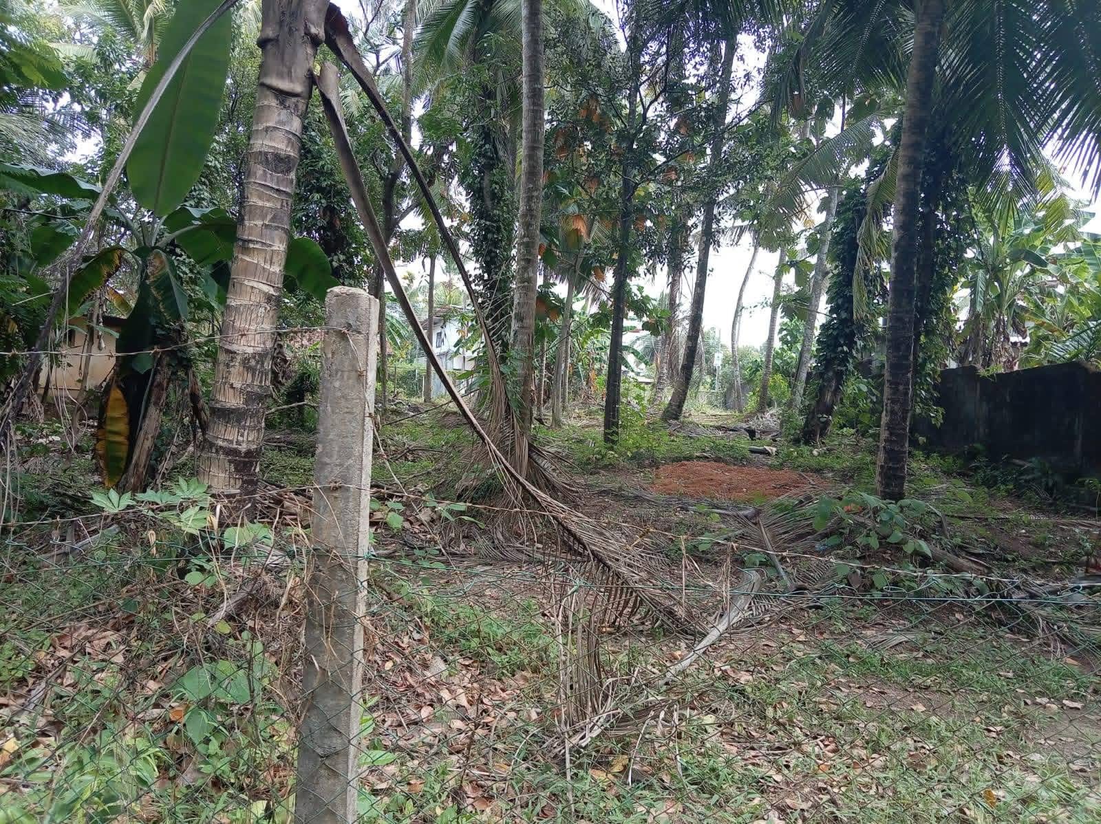 Residential Land for Sale in Heiyanthuduwa
