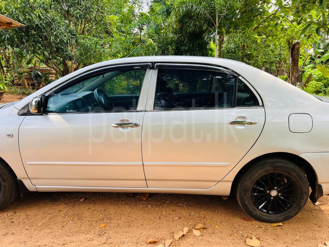 Advertisement image 2