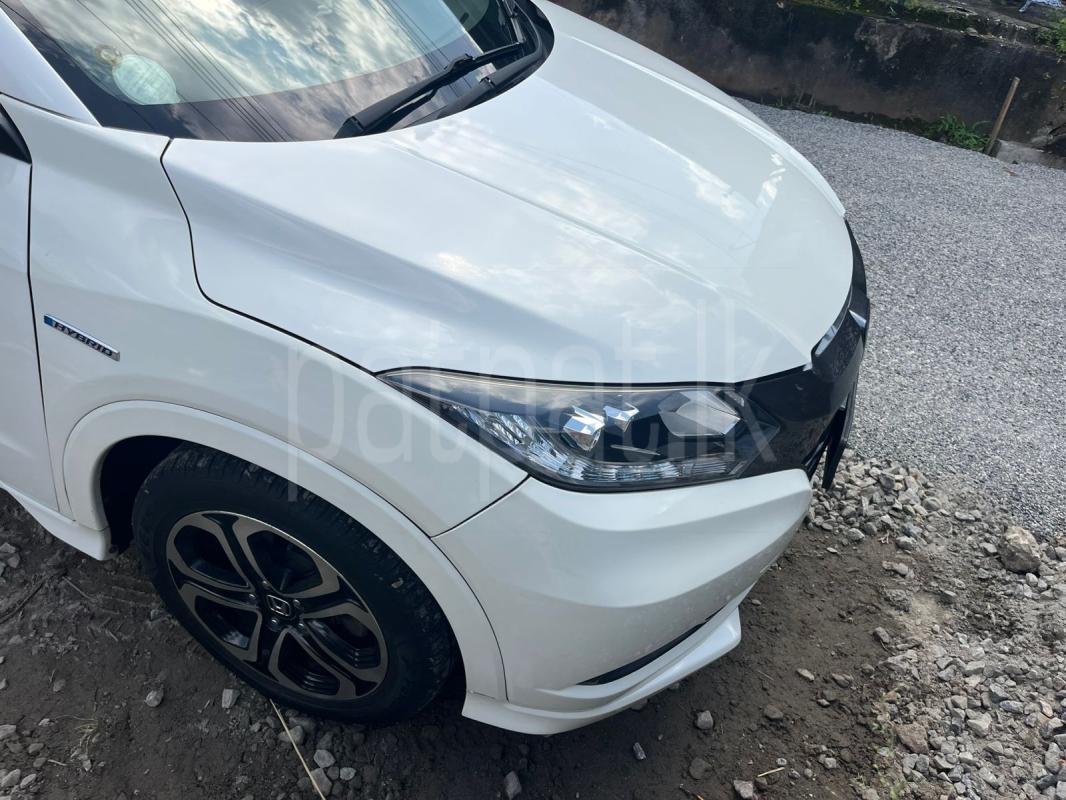 Advertisement image 1